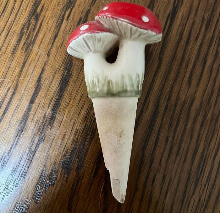 Ceramic mushroom-shaped object found among unexpected things in walls and other hidden places in homes.