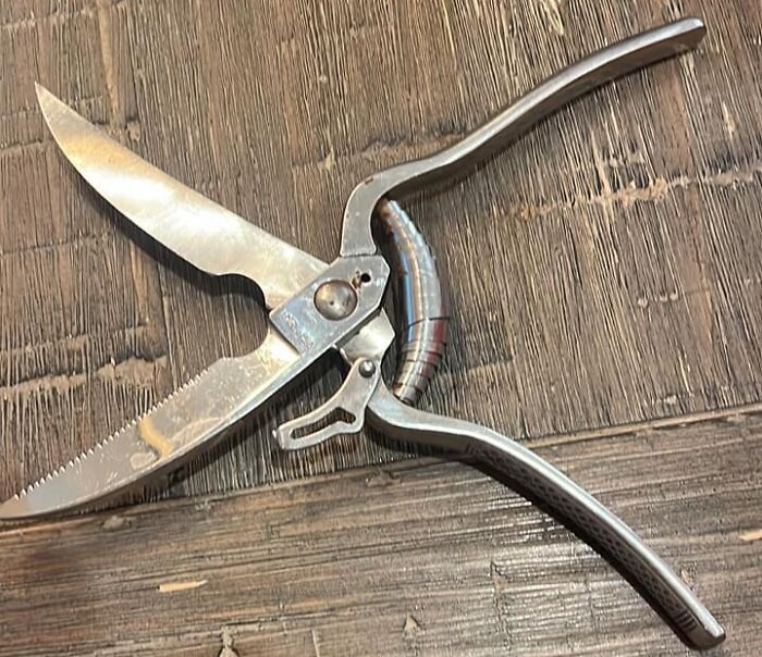 Vintage folding knife found hidden inside a wall, showcasing one of the unexpected things found in homes and hidden places.