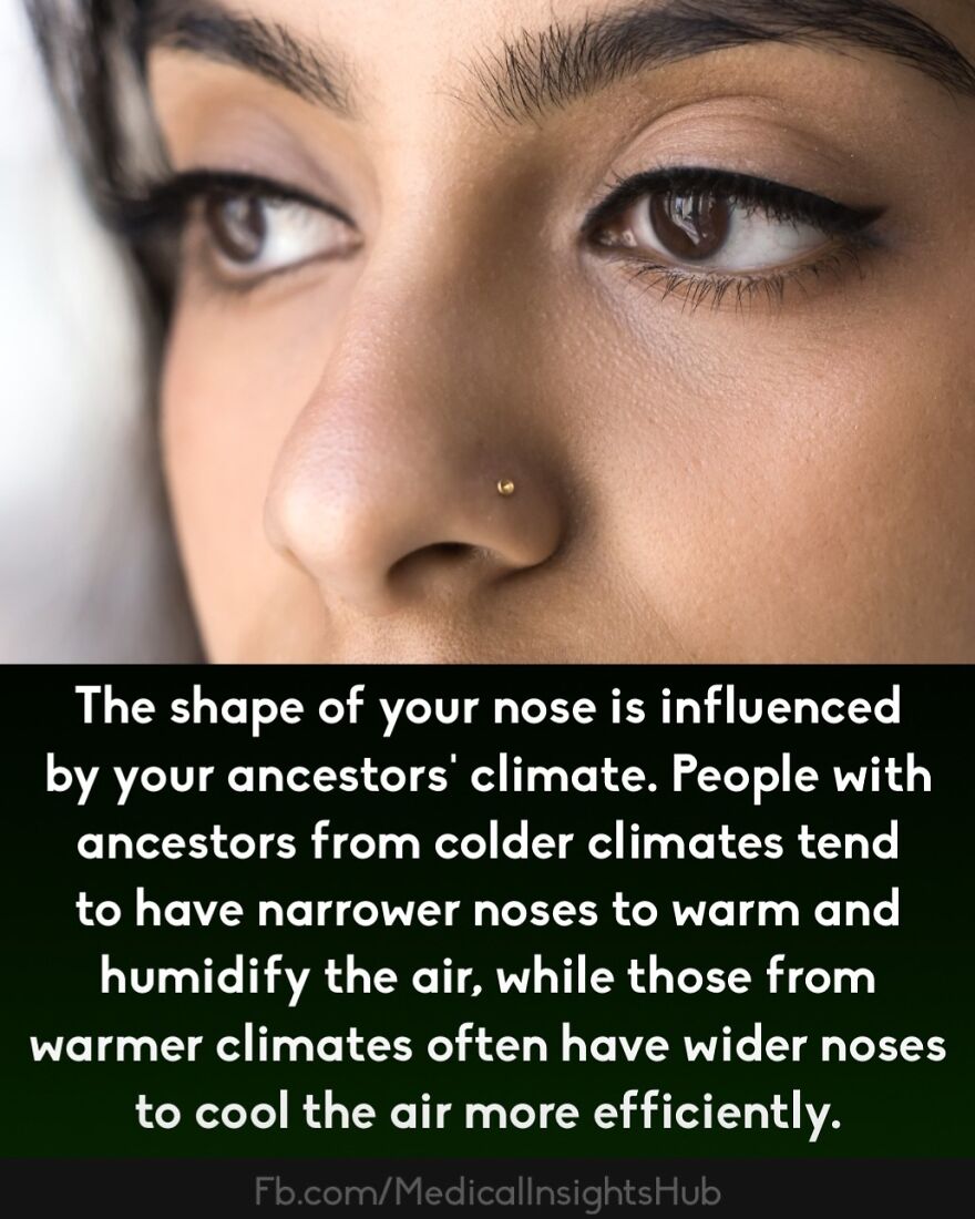 Close-up of a woman's face showing nose details, illustrating curious medical facts about fingers containing no muscles.