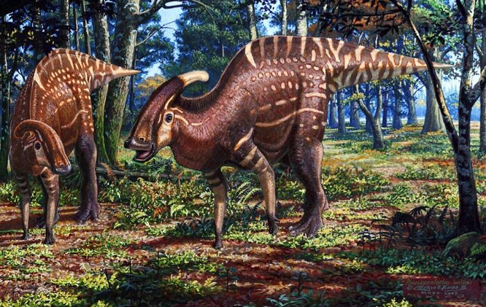 Two dinosaurs with crests on their heads in a dense forest, illustrating interesting dinosaur facts and prehistoric life.