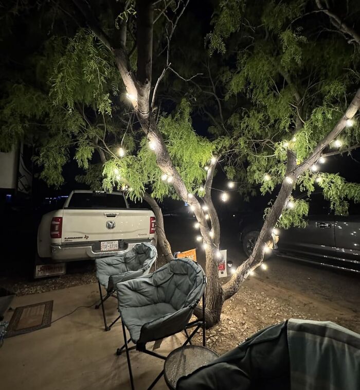 Outdoor space lit with string lights wrapped around tree branches, creating a cozy atmosphere for nighttime use.