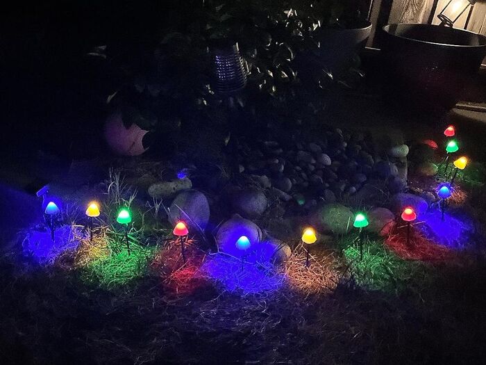 Colorful outdoor garden lights illuminating rocks and grass, showcasing creative ways to light up your outdoor space after dark.