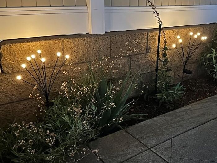 Outdoor space lighting with decorative garden lights illuminating plants and walkway after dark.