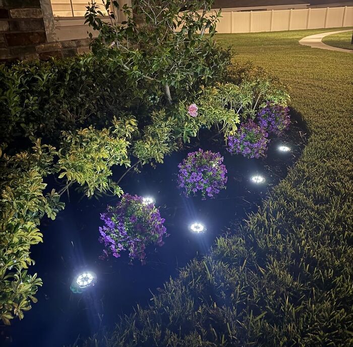 Outdoor space lighting with bright garden spotlights illuminating purple flowers and shrubs at night.