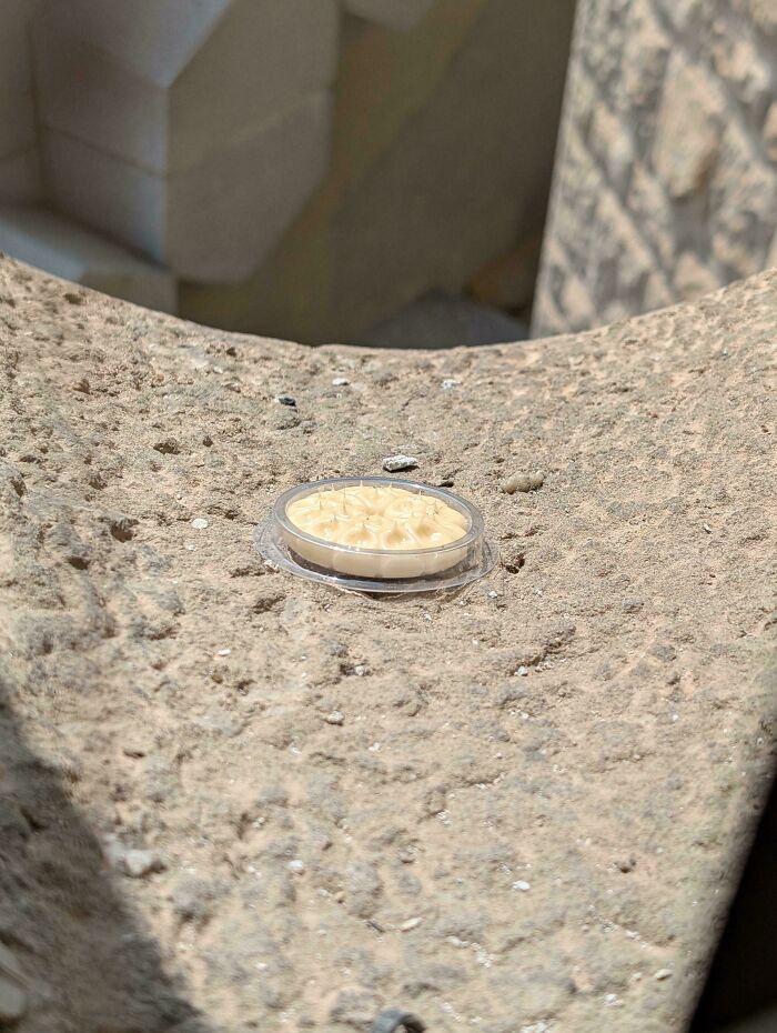 Small round mystery object with spikes placed on a rough stone surface, part of an online group recognizing mystery objects.