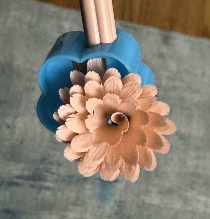 Close-up of a pencil shaved to resemble a flower, showcasing an interesting thing that requires a double take to realize.