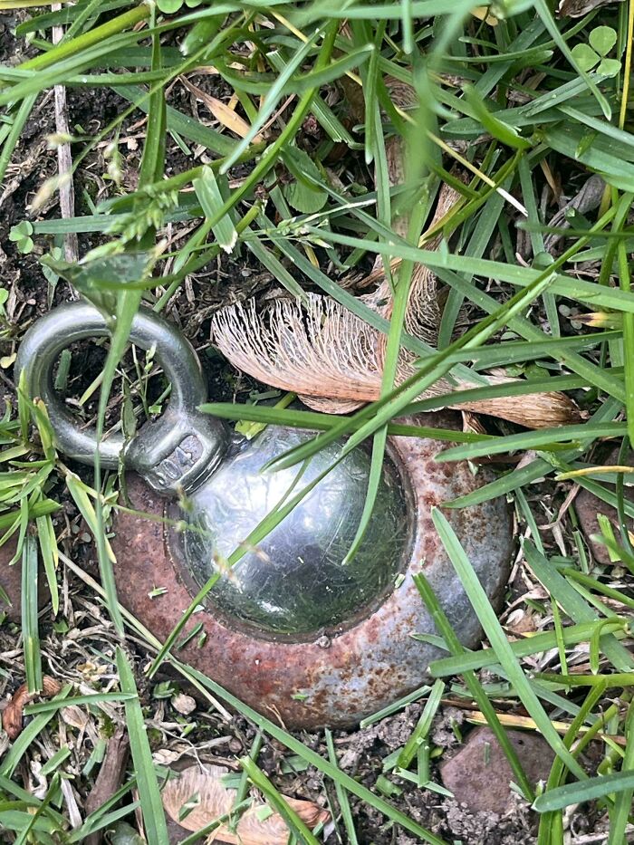 Metal object with an eyelet lying in grass, one of many mystery objects recognized by an online group.