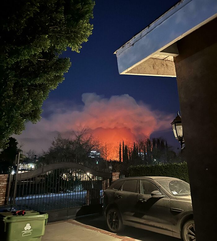 Nighttime scene with glowing orange clouds behind trees and a gate, an interesting thing requiring a double take to realize.