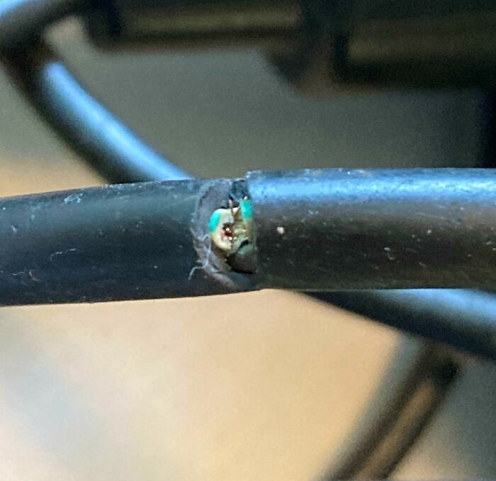 Close-up of a damaged, frayed power cable showing exposed wires from people damaging things they borrowed.