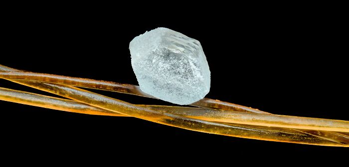 Close-up microscopic image of a single salt crystal resting on strands of human hair showcasing unique textures.