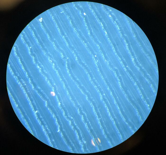 Microscopic image showing detailed blue fibrous structures with a textured and wavy pattern under magnification.