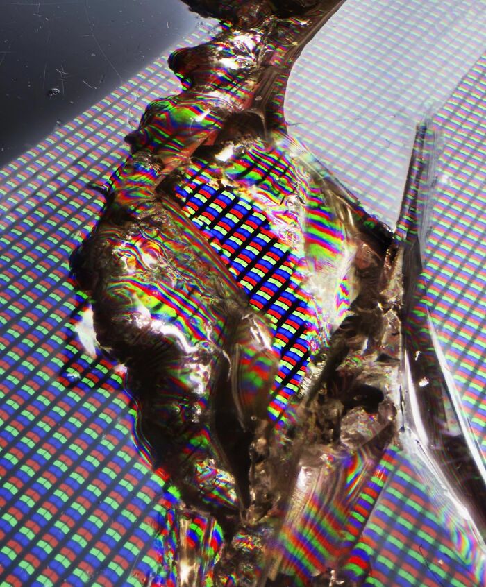 Close-up microscopic image showing intricate details and vibrant colors of an ordinary object under magnification.