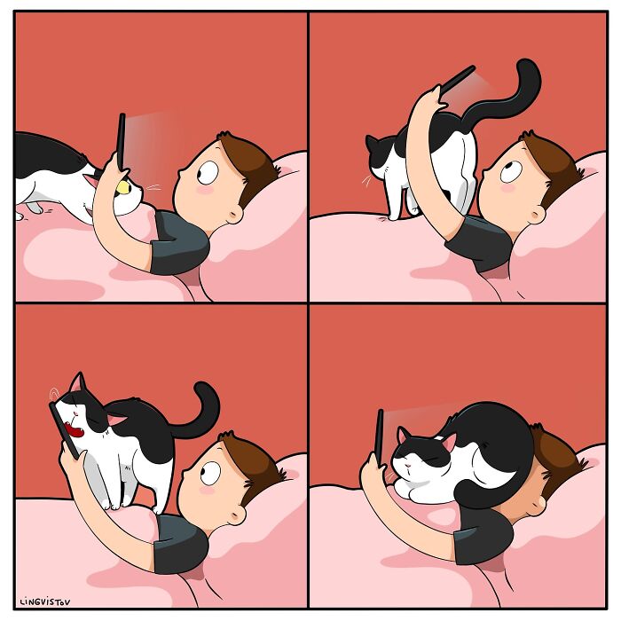 Illustration showing a man experiencing what it’s like to live with a cat in funny and painfully accurate ways.
