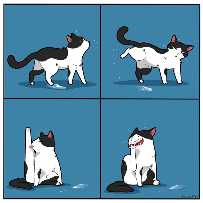 Comic strip showing a cat's funny and accurate behavior while living with a cat, with the cat reacting to a wet spot.
