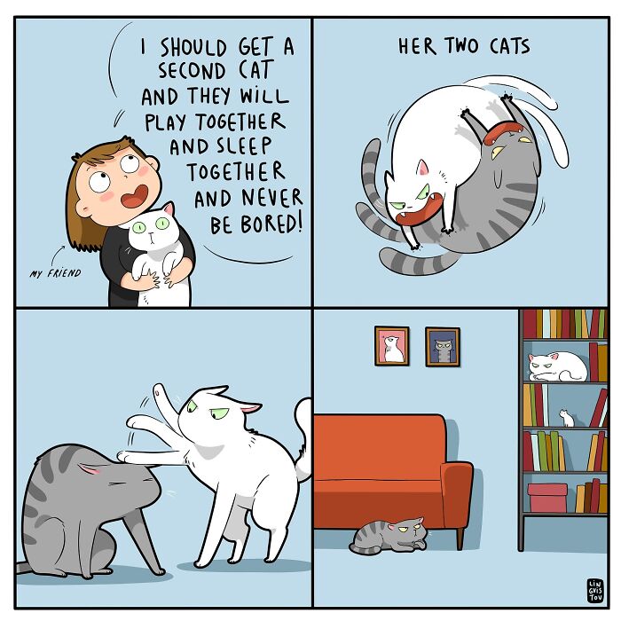 Cartoon illustrating what it’s like to live with a cat, showing humorous and accurate cat behavior with two cats.