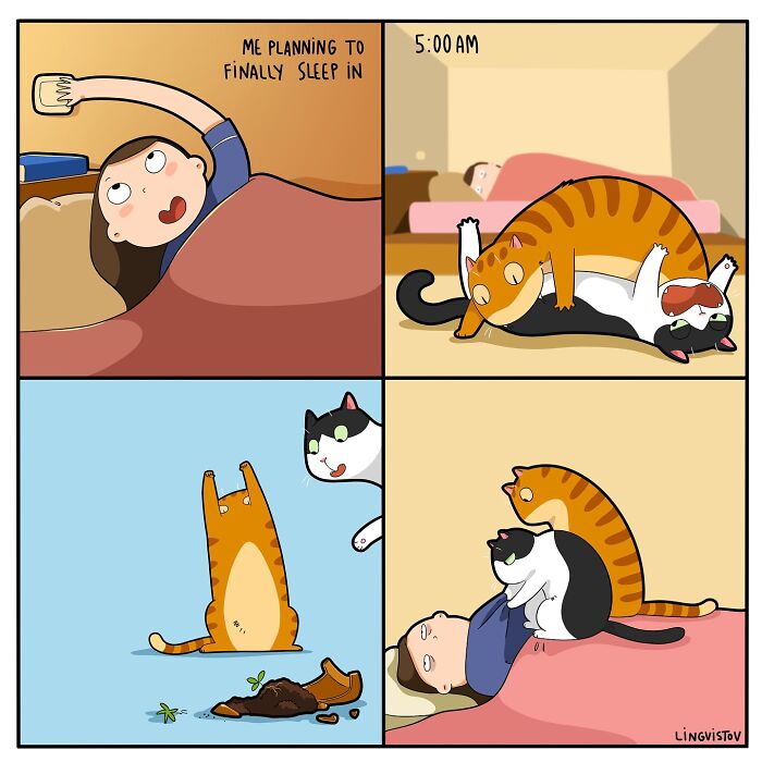 Comic illustrating what it’s like to live with a cat, showing funny and accurate cat behaviors disrupting sleep and causing messes.