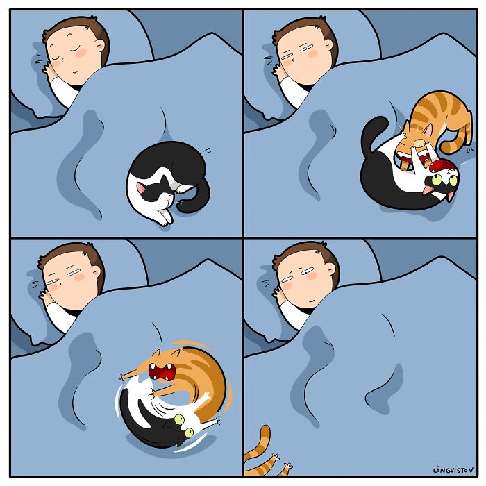 Comic strip showing the hilarious and accurate moments of living with cats as they disturb a sleeping person in bed.