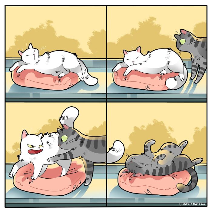 Comic strip illustrating what it’s like to live with a cat, showing playful and mischievous cat behavior on a cushion.