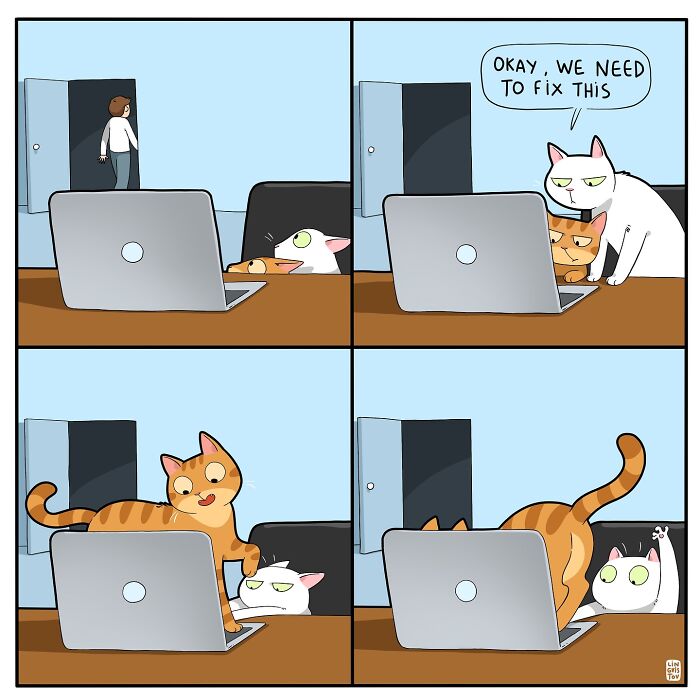 Comic strip showing cats interrupting a person working on a laptop, capturing what it’s like to live with a cat humorously and accurately.