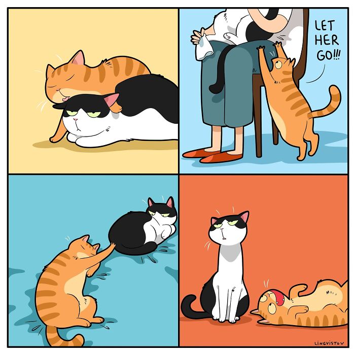Illustration showing what it's like to live with a cat, capturing hilarious and painfully accurate cat behavior moments.