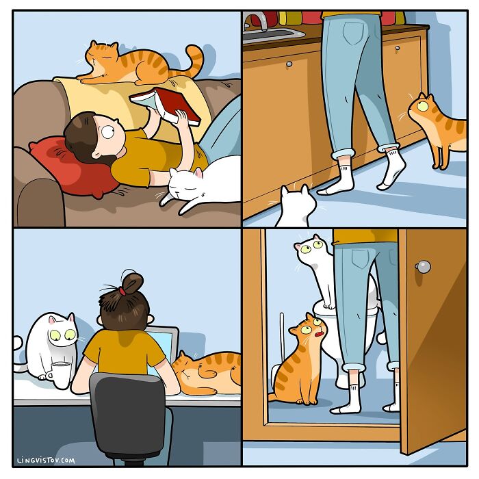 Illustration showing hilarious and accurate moments of living with a cat, featuring cats interacting with a person at home.