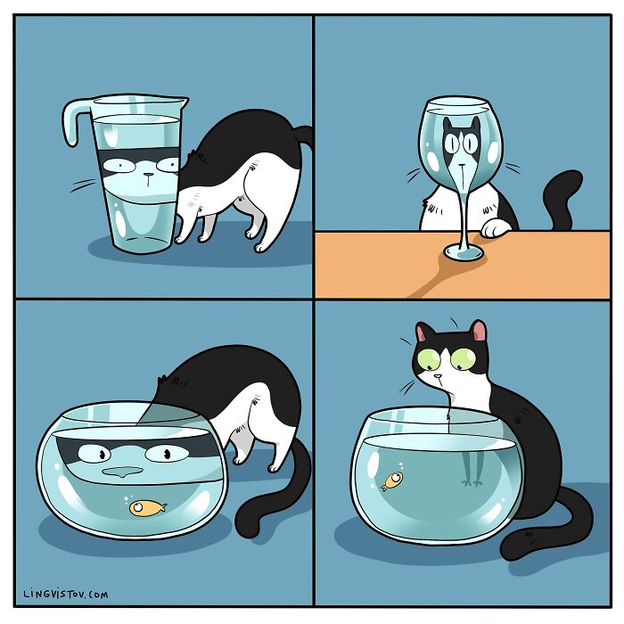 Comic panels showing a cat hilariously interacting with water containers, capturing what it’s like to live with a cat.