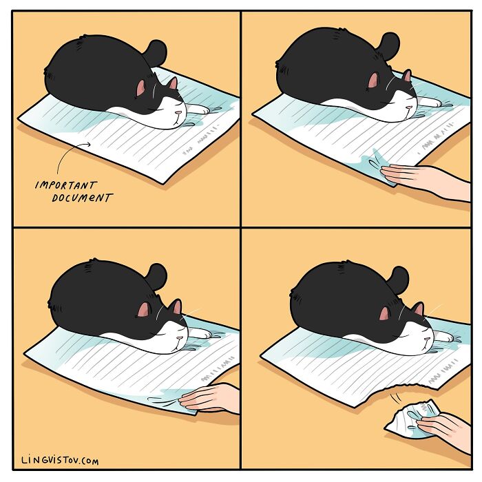 Comic strip showing a cat lying on an important document while a person struggles to remove it, capturing life with a cat.