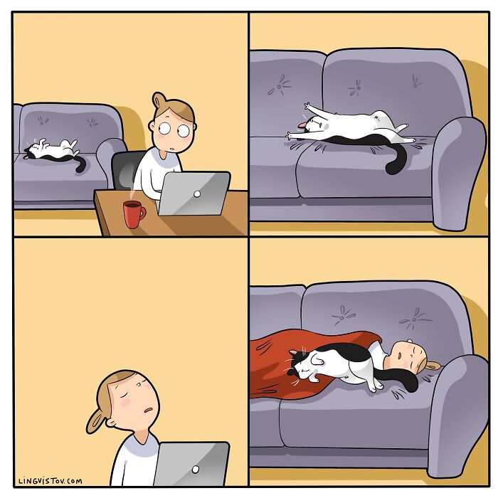 Cartoon showing what it’s like to live with a cat, with the cat lounging and disrupting the owner’s workspace and rest.