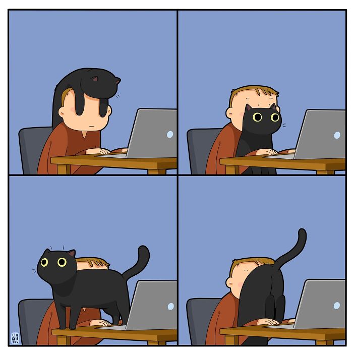 Comic strip showing a cat repeatedly obstructing a person working on a laptop, illustrating what it’s like to live with a cat.