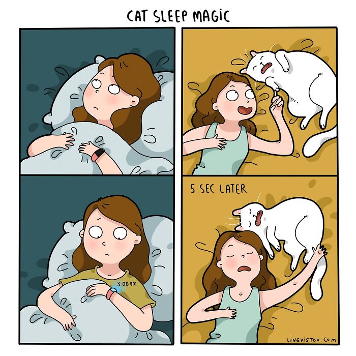 Comic showing hilarious and painfully accurate moments of living with a cat, featuring a cat disturbing sleep at 3 AM.