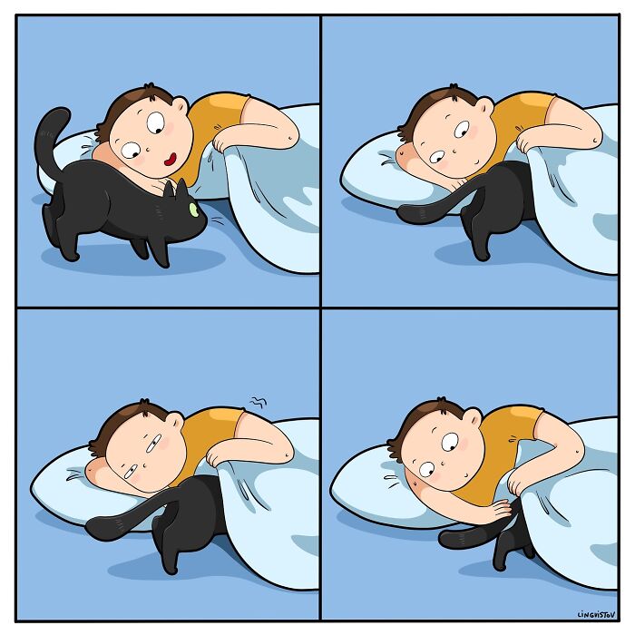 Cartoon showing the humorous and accurate daily reality of living with a cat in a bed.