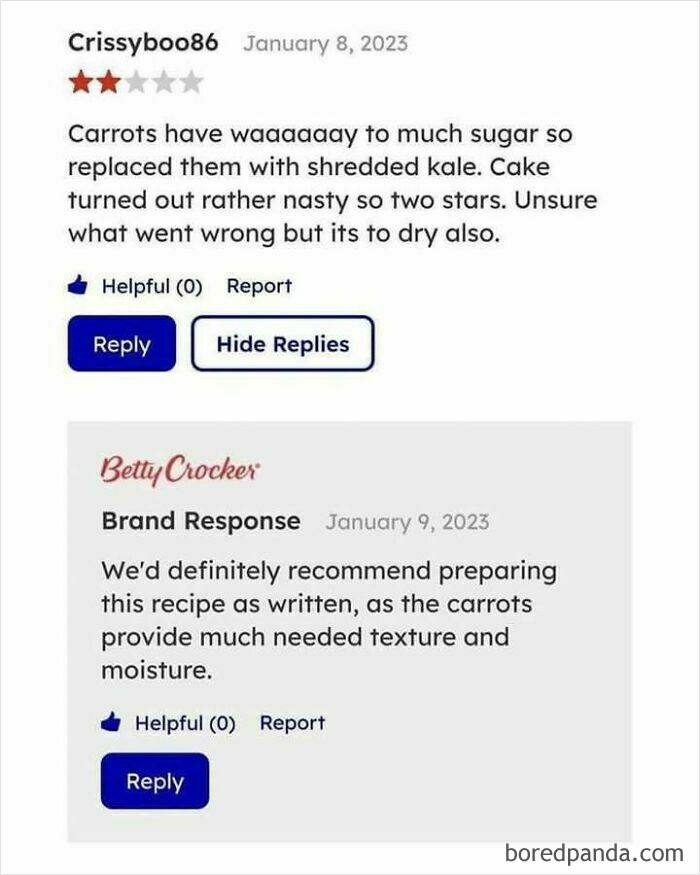 Screenshot of a humorous recipe review exchange that made people go 'hmmm' and share their reactions online.
