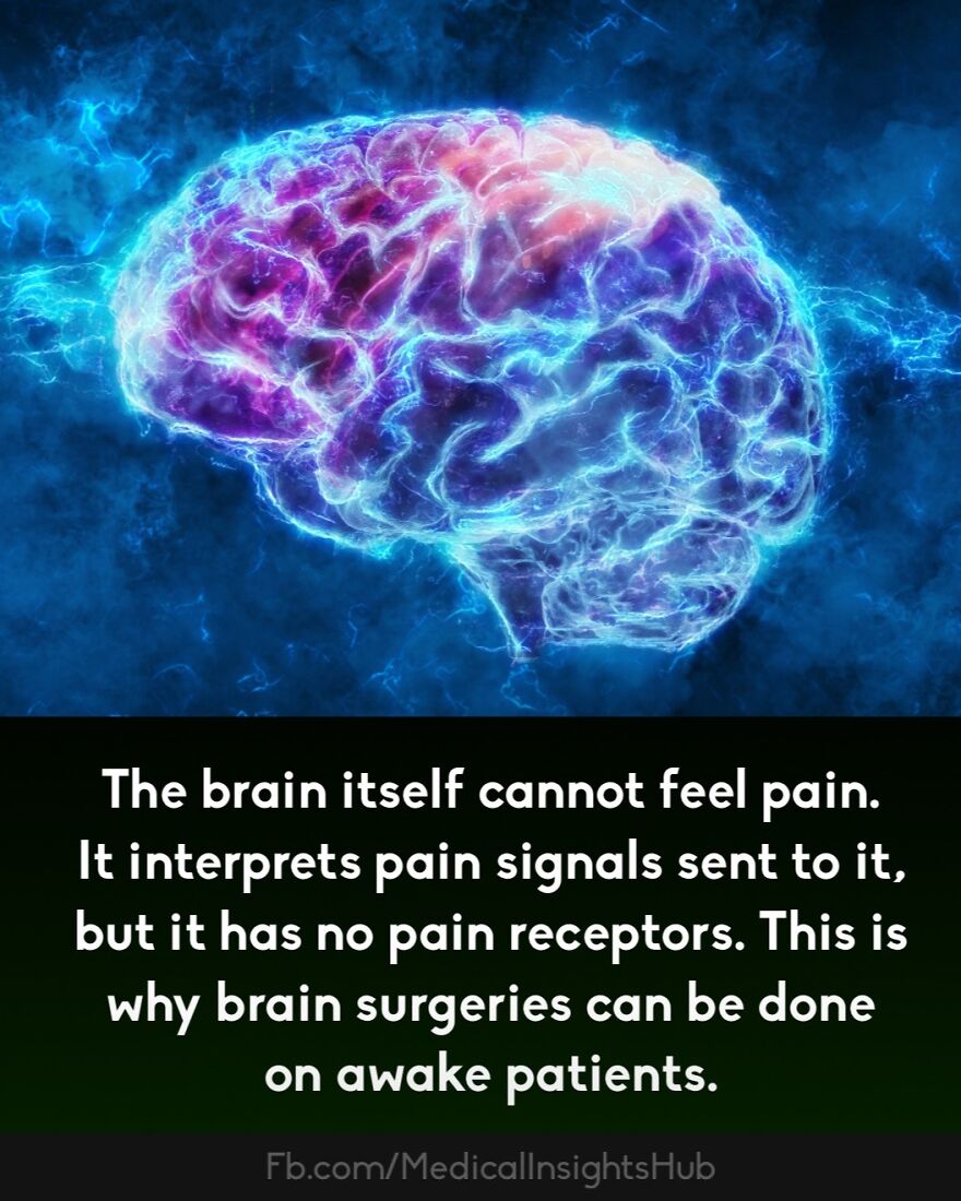 Illustration of a glowing brain with electric blue highlights explaining curious medical facts about fingers containing no muscles.