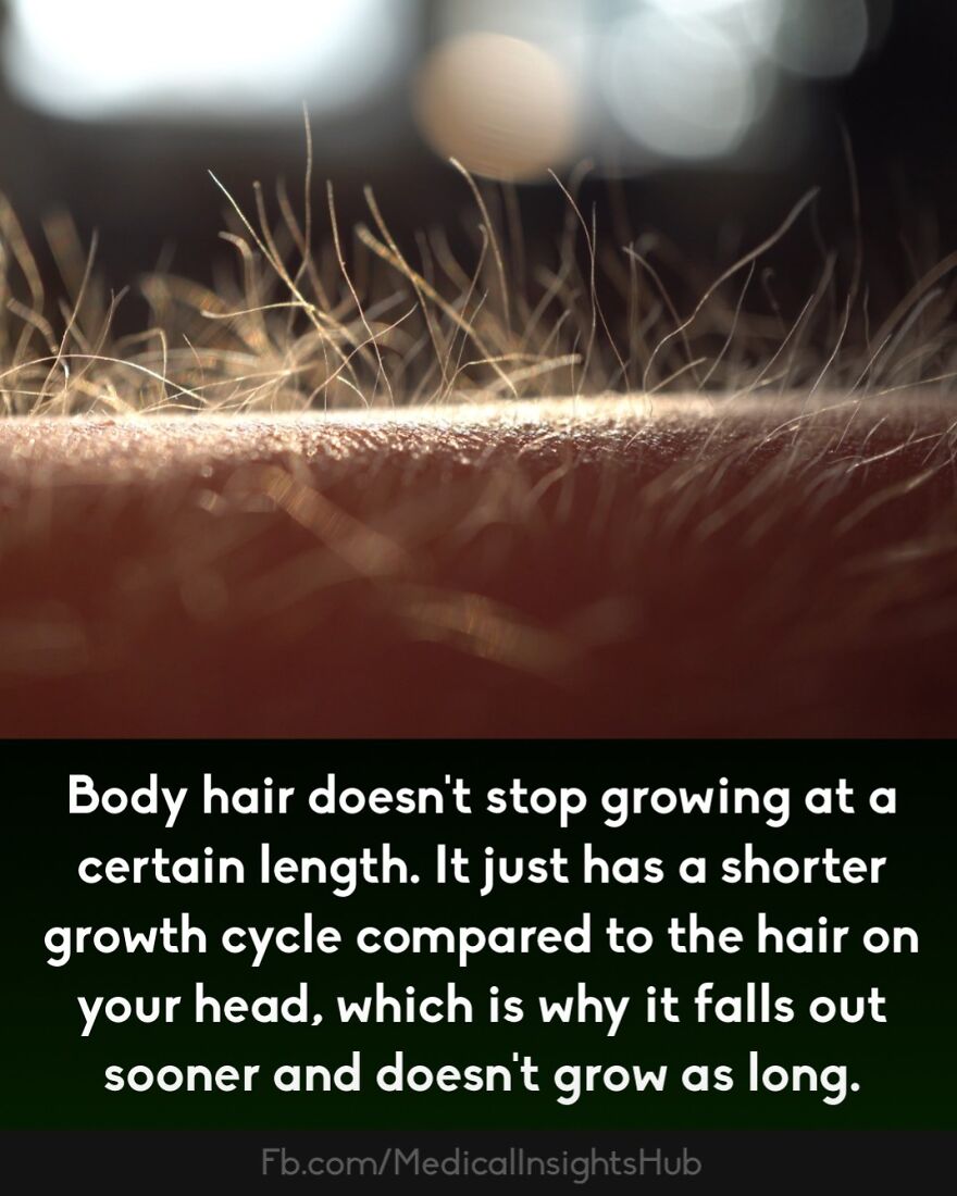 Close-up of body hair growth showing fine hairs on skin, illustrating curious medical facts about fingers containing no muscles.