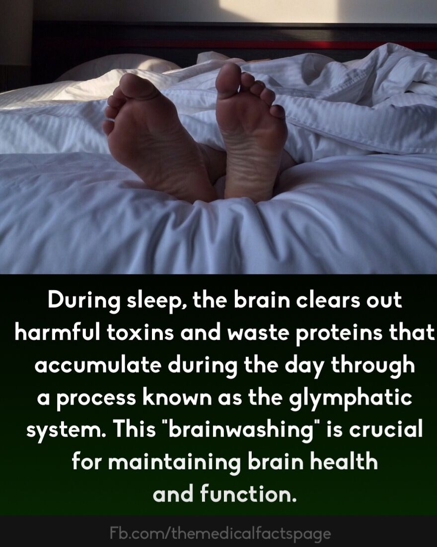 50 Cool And Interesting Medical Facts You Might Not Know About Your Own Body And Health