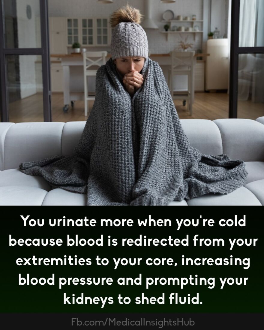 Woman wrapped in a blanket staying warm indoors, illustrating medical facts about how fingers contain no muscles.