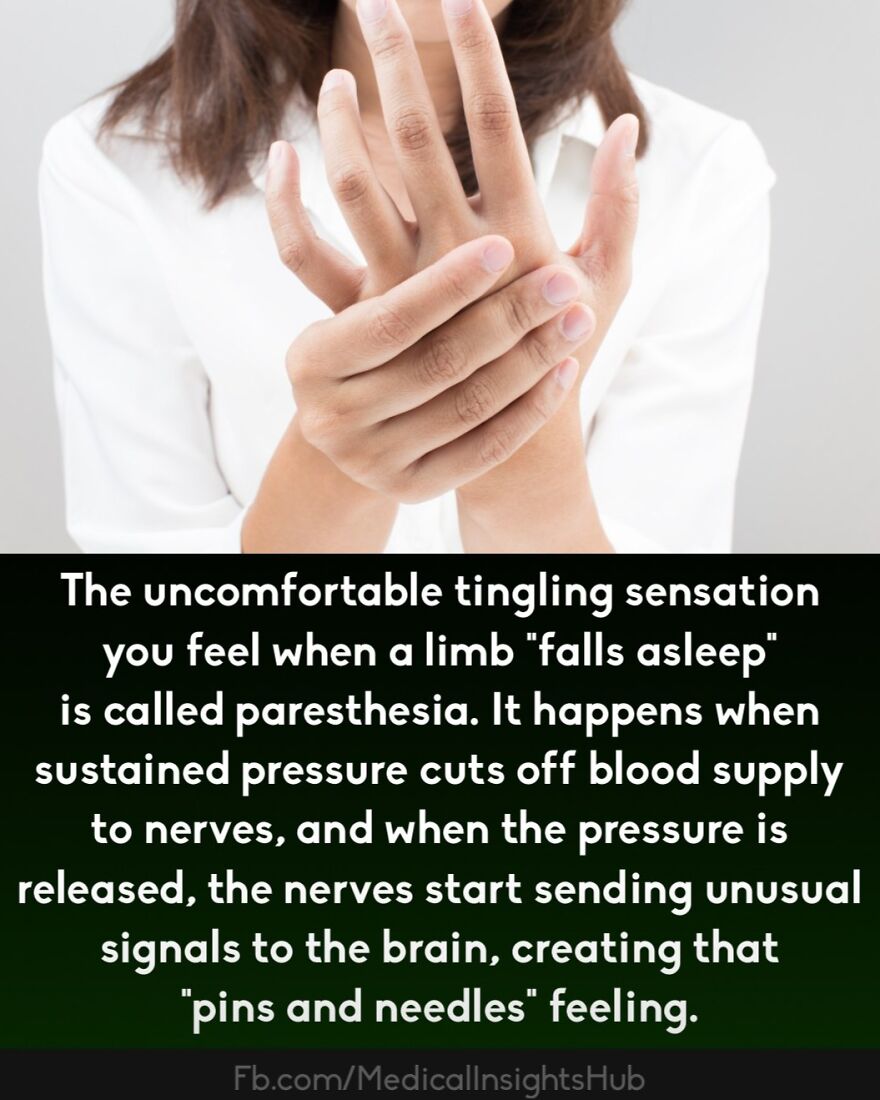 Person holding their hand showing fingers, illustrating the medical fact about fingers containing no muscles.