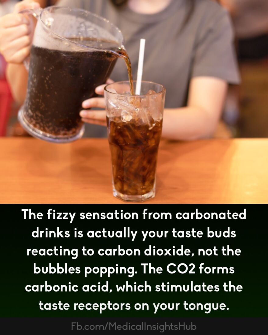 Person pouring a carbonated drink into a glass filled with ice, illustrating curious medical facts about fingers containing no muscles.