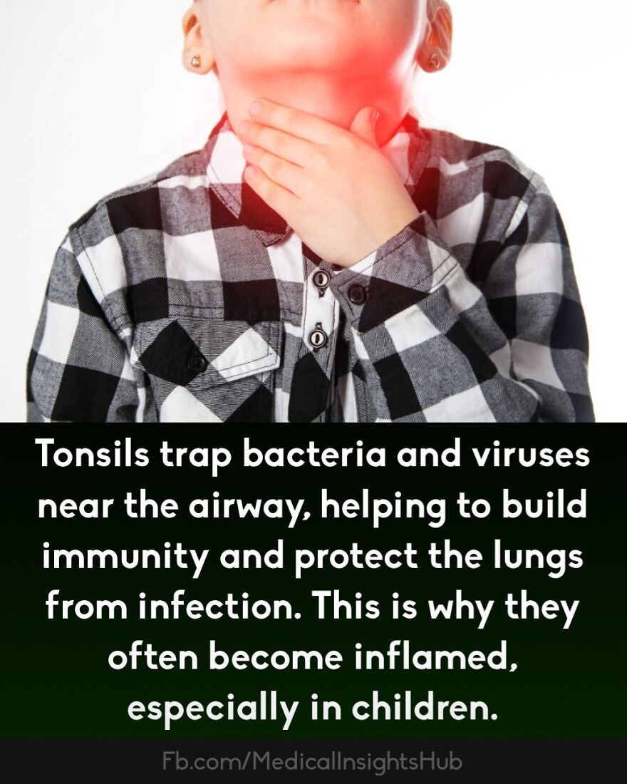 Child holding throat with red highlight, illustrating curious medical facts about fingers containing no muscles.