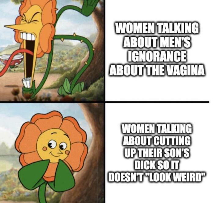 Cartoon flower expressing shock and calm, paired with text highlighting misogynists getting a reality check instead of applause.