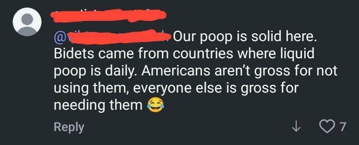 Screenshot of a social media comment about Americans and bidets, reflecting cultural differences and humor.