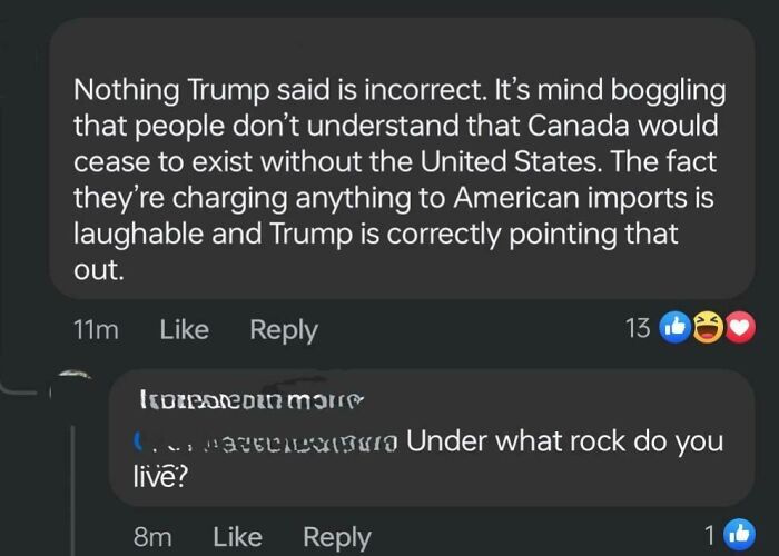 Social media comments debating American trade policies and viewpoints on Trump’s statements on international relations.