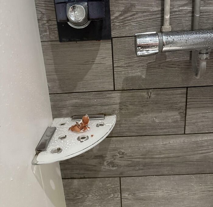 Broken soap holder with c*****d eggshells on it in a wet gym shower area, illustrating annoying gym moments.