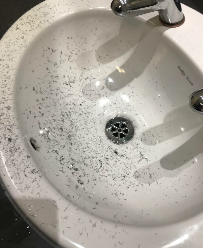 White gym sink covered in small hair clippings, illustrating one of the most annoying gym moments.