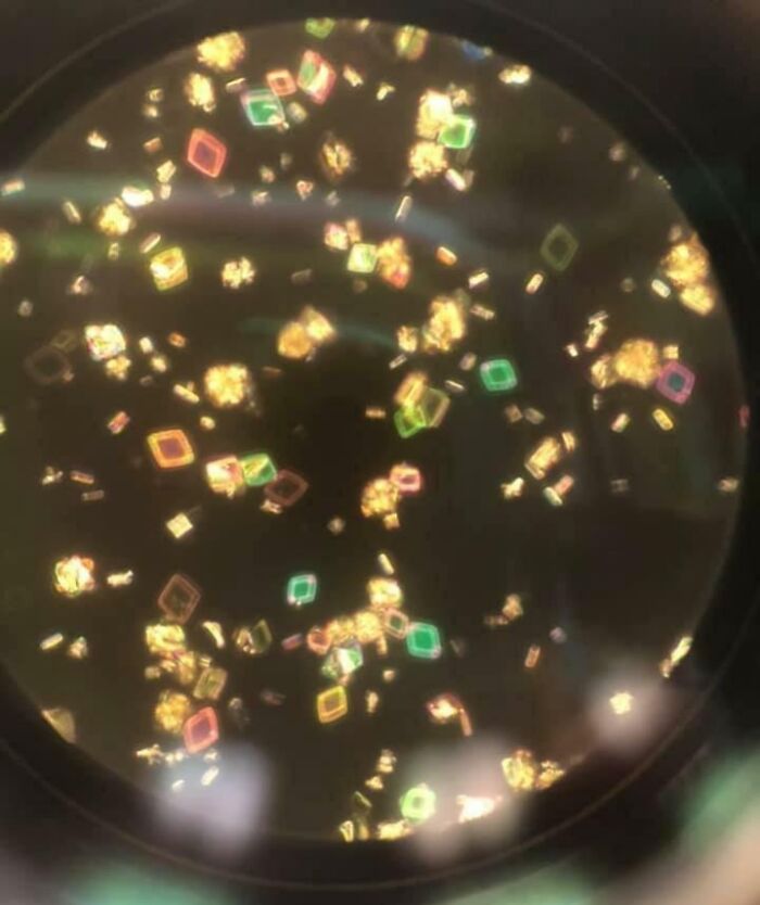 Colorful crystalline structures viewed through a microscope showcasing cool microscopic images of ordinary things.