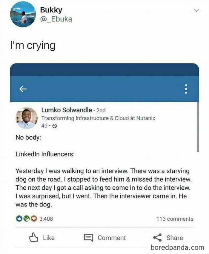 A LinkedIn post humorously describing an unexpected interview with a starving dog, prompting people to go hmm.