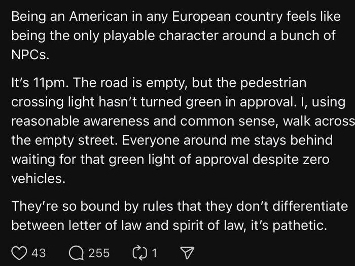 Text post about Americans in Europe highlighting behavior differences, reflecting on American hero Steve Irwin and cultural facepalm moments.