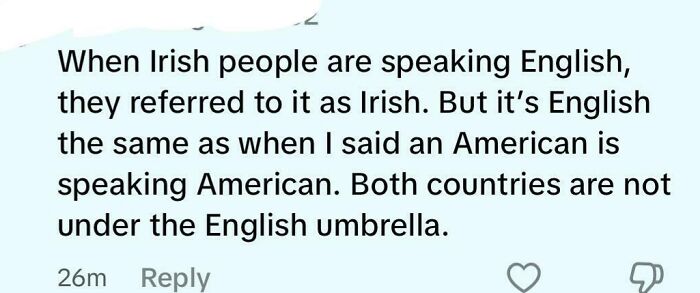 Comment discussing language differences between Irish and American English under a post about Steve Irwin and American heroes.