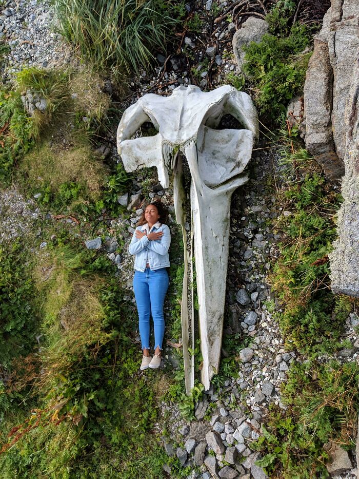 Woman lying next to an enormous whale skull outdoors, showcasing one of the most unreal photographs in reality.