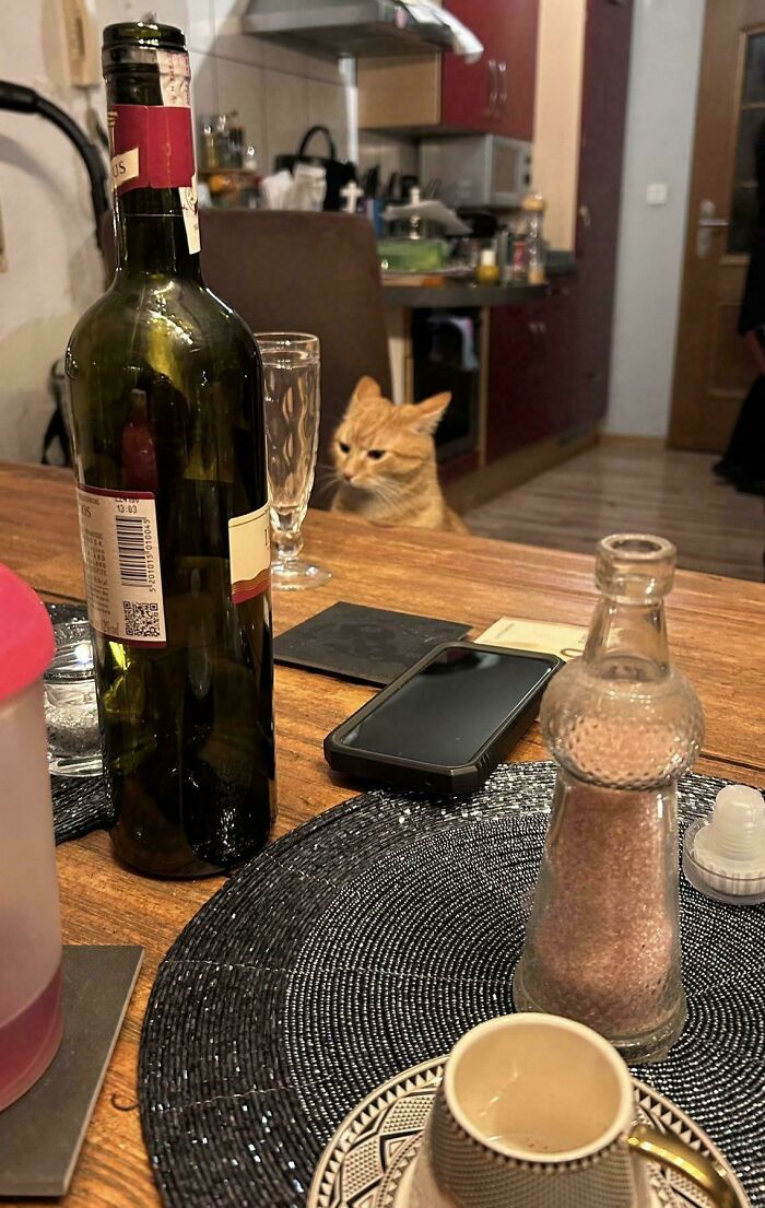 Orange cat sitting behind a table with a wine bottle, phone, and salt shaker in a cozy kitchen setting.